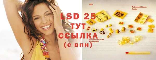 spice Каменка
