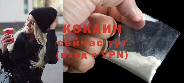 spice Каменка
