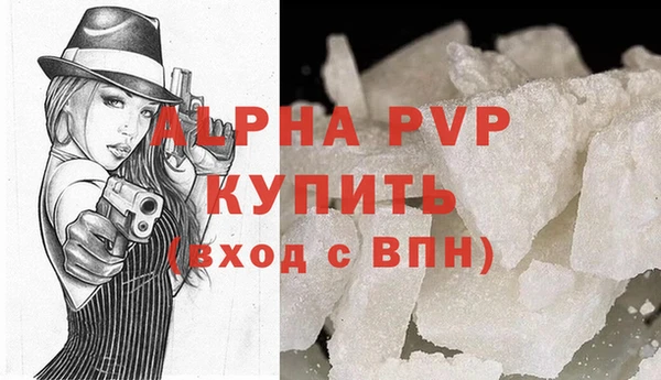 spice Каменка