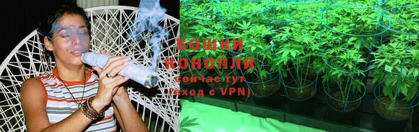 spice Каменка