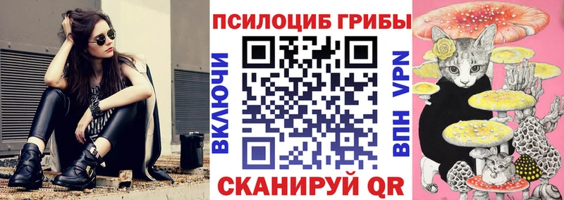 Галлюциногенные грибы Psilocybine cubensis  Купить закладки  Волжск 